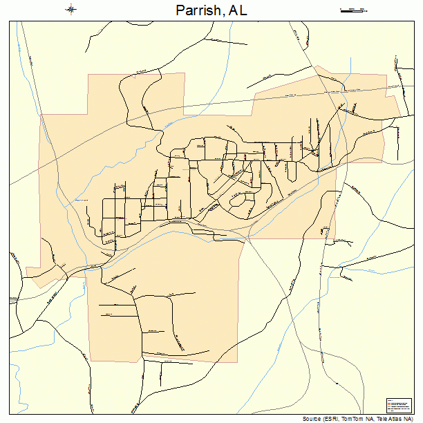 Parrish, AL street map