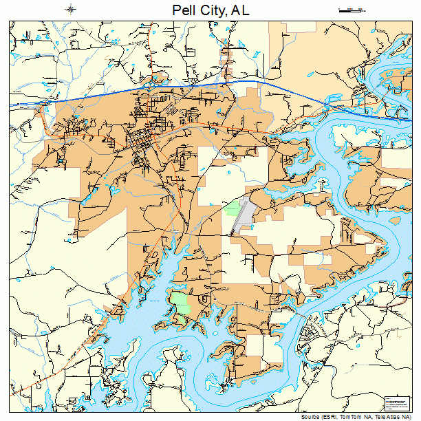 Pell City, AL street map