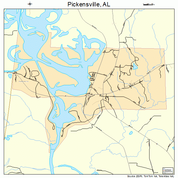 Pickensville, AL street map