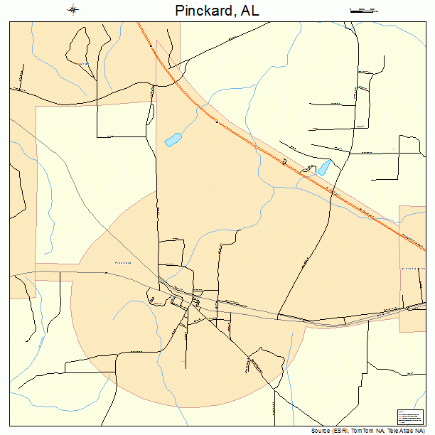 Pinckard, AL street map