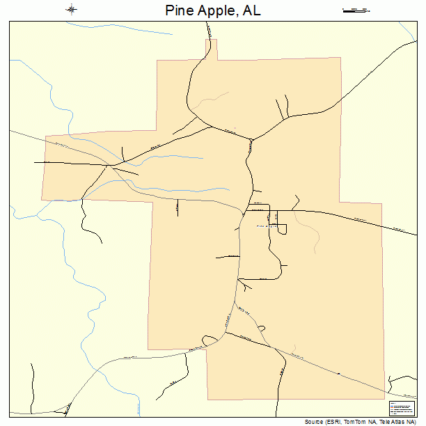 Pine Apple, AL street map