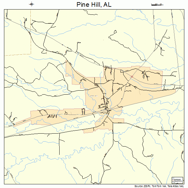 Pine Hill, AL street map