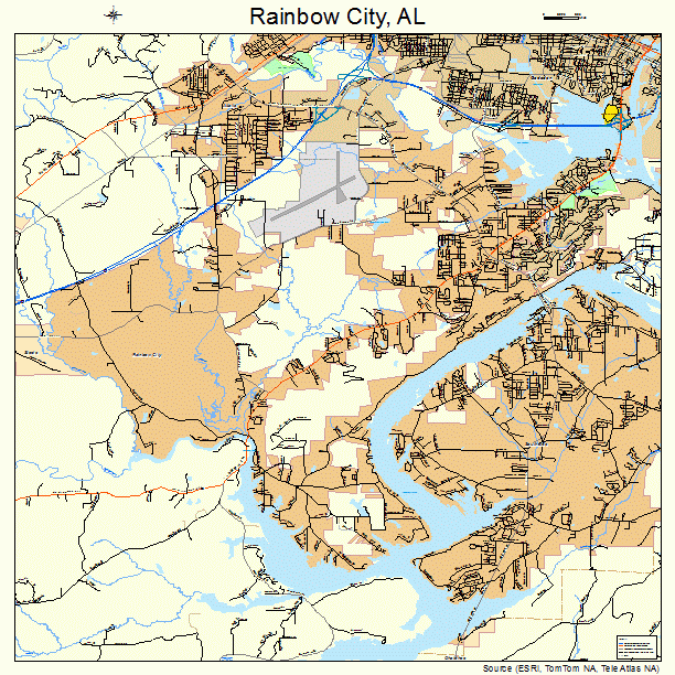 Rainbow City, AL street map