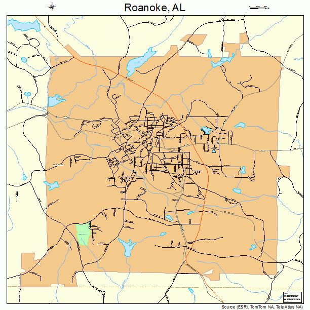 Roanoke, AL street map