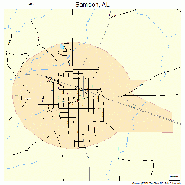 Samson, AL street map