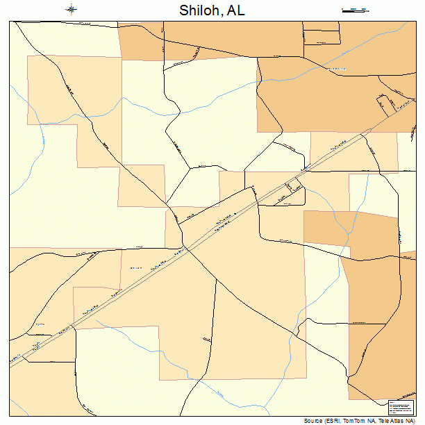 Shiloh, AL street map