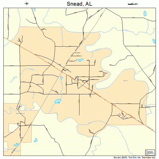 Snead, AL street map