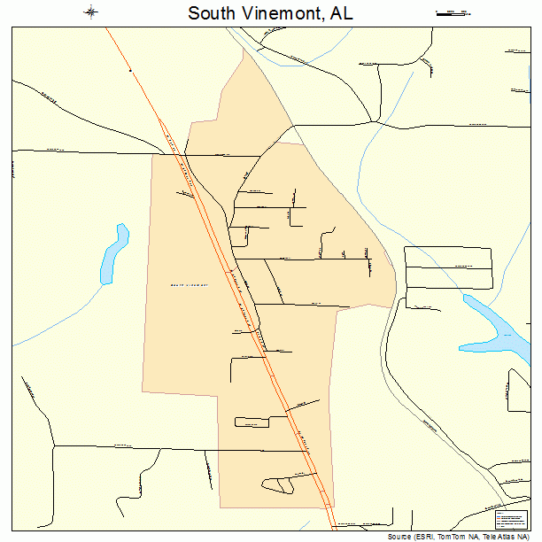South Vinemont, AL street map