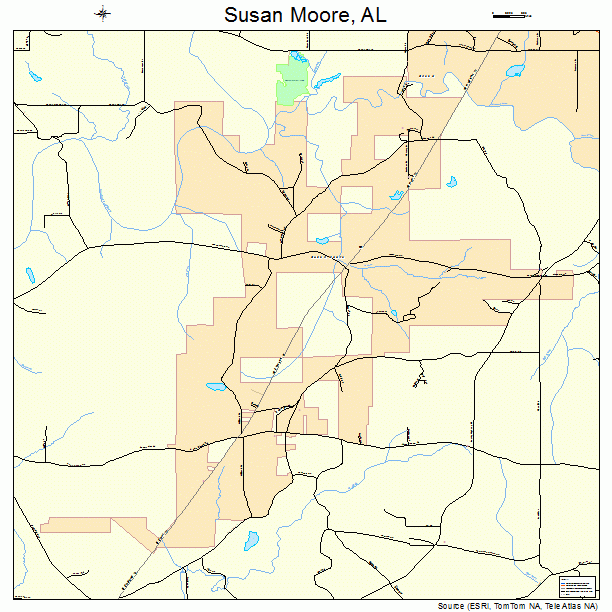 Susan Moore, AL street map