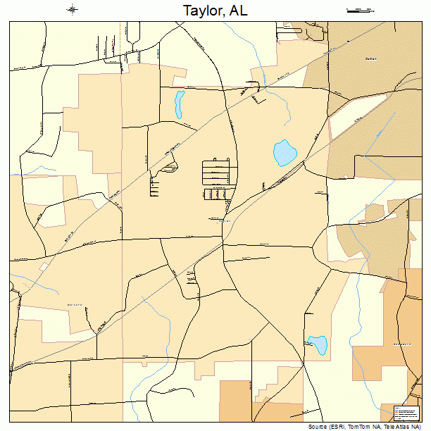 Taylor, AL street map