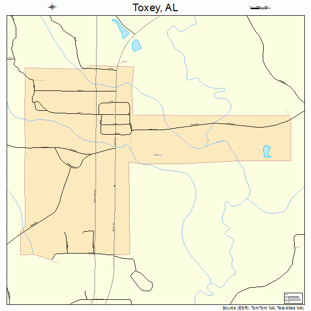 Toxey, AL street map