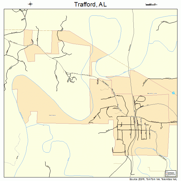 Trafford, AL street map