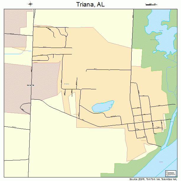 Triana, AL street map