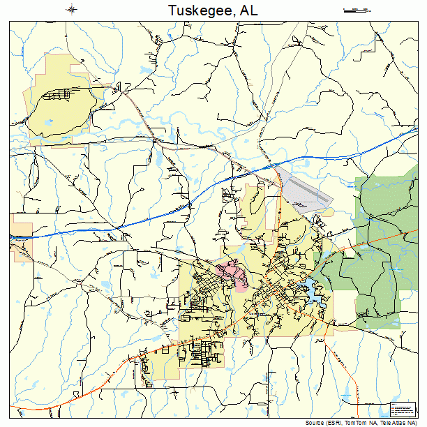 Tuskegee, AL street map