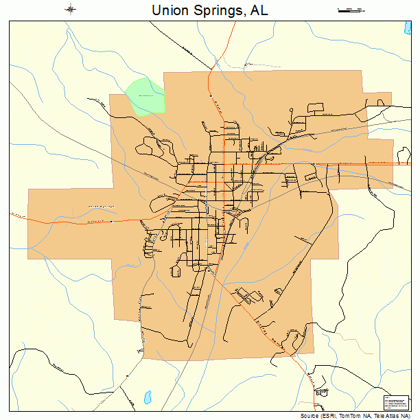 Union Springs, AL street map