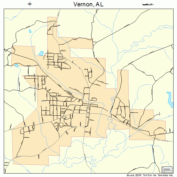 Vernon, AL street map