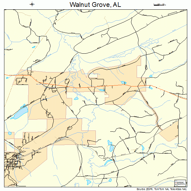 Walnut Grove, AL street map