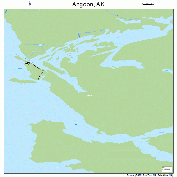 Angoon, AK street map