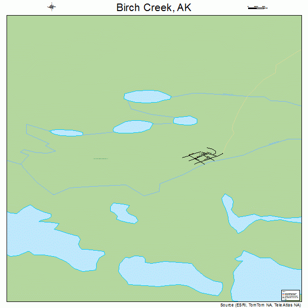 Birch Creek, AK street map