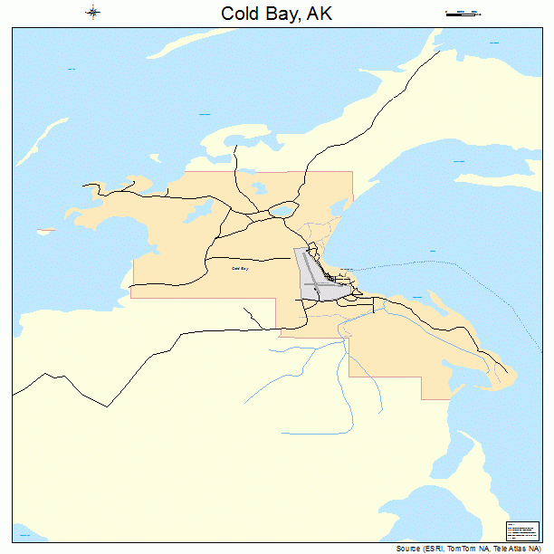 Cold Bay, AK street map
