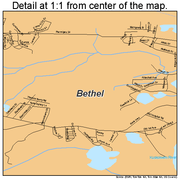 Bethel, Alaska road map detail