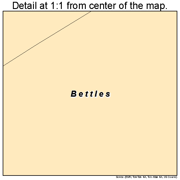 Bettles, Alaska road map detail