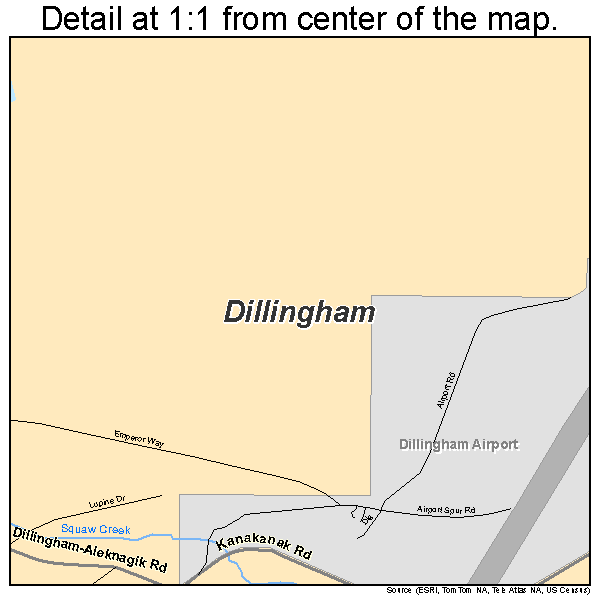 Dillingham, Alaska road map detail
