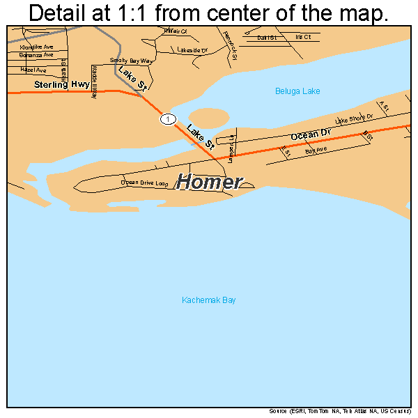 Homer, Alaska road map detail