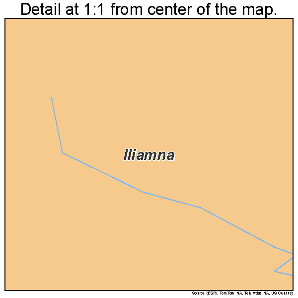 Iliamna, Alaska road map detail