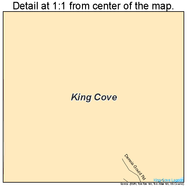 King Cove, Alaska road map detail