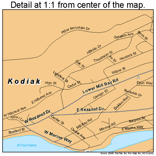 Kodiak, Alaska road map detail