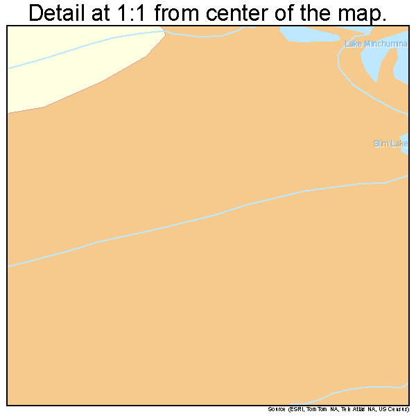 Lake Minchumina, Alaska road map detail