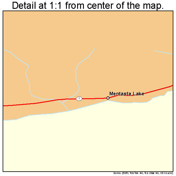 Mentasta Lake, Alaska road map detail