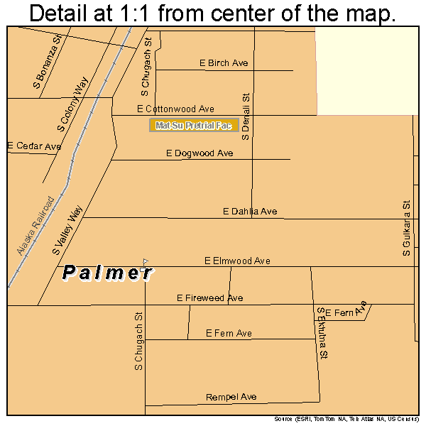 Palmer, Alaska road map detail