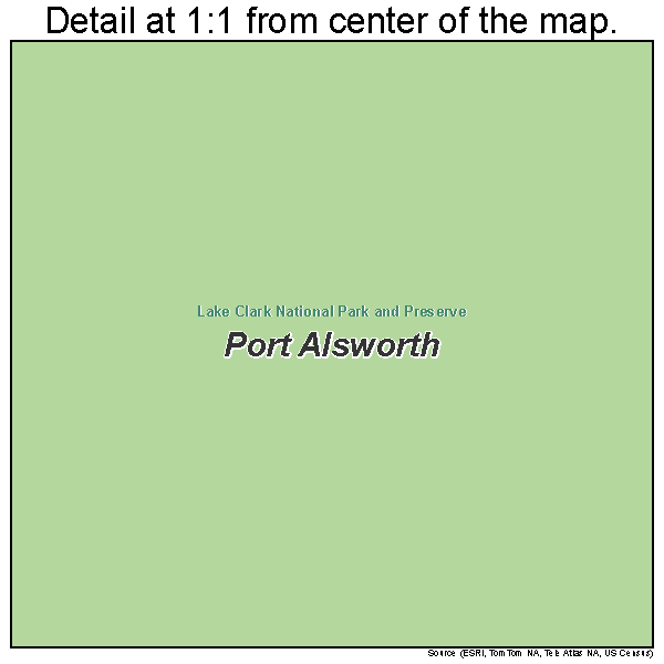 Port Alsworth, Alaska road map detail