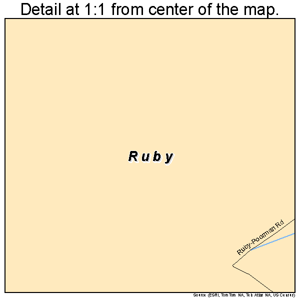 Ruby, Alaska road map detail