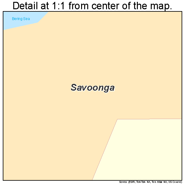 Savoonga, Alaska road map detail