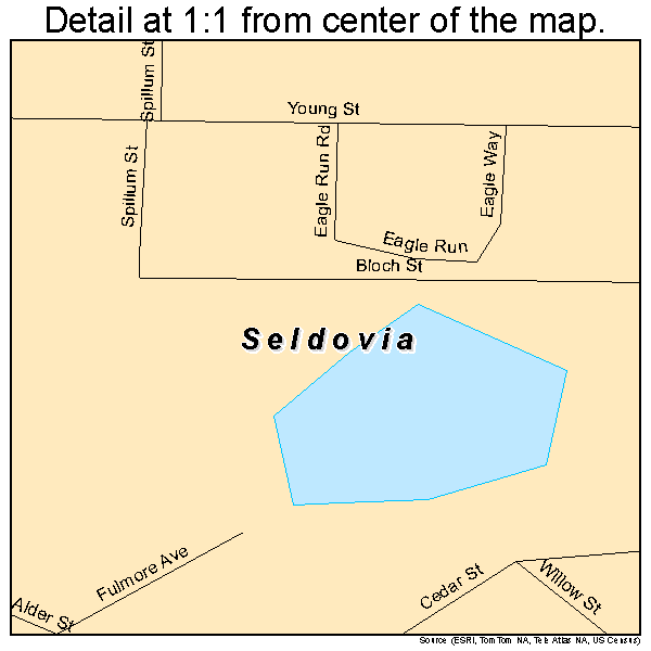 Seldovia, Alaska road map detail