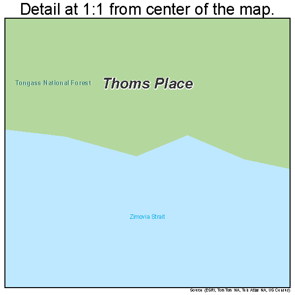 Thoms Place, Alaska road map detail
