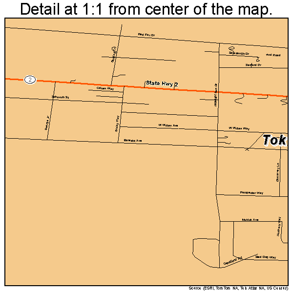 Tok, Alaska road map detail