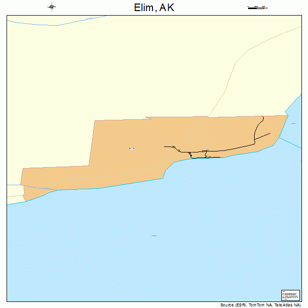 Elim, AK street map