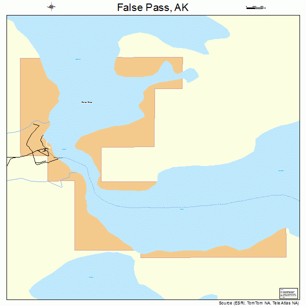 False Pass, AK street map