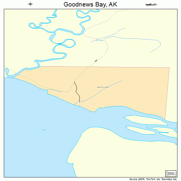 Goodnews Bay, AK street map