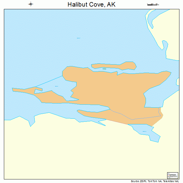 Halibut Cove, AK street map