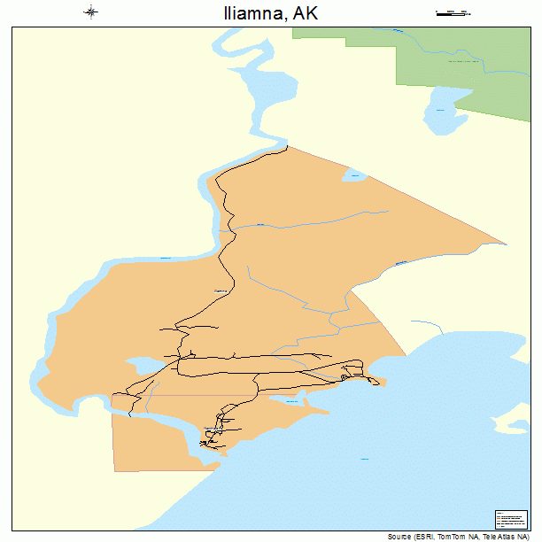 Iliamna, AK street map