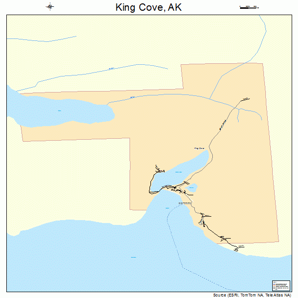 King Cove, AK street map