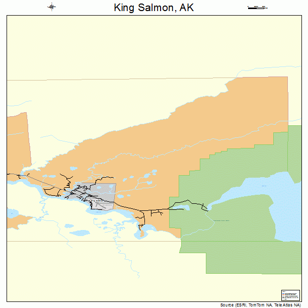 King Salmon, AK street map