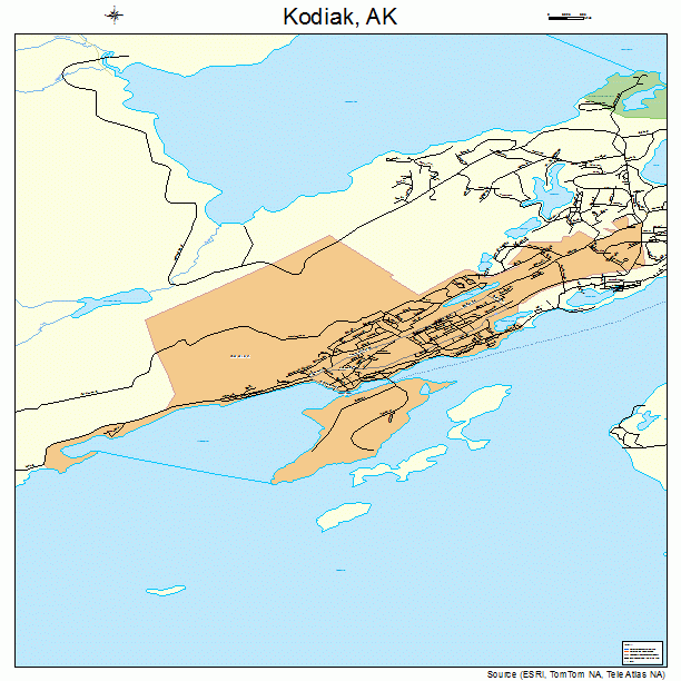 Kodiak, AK street map