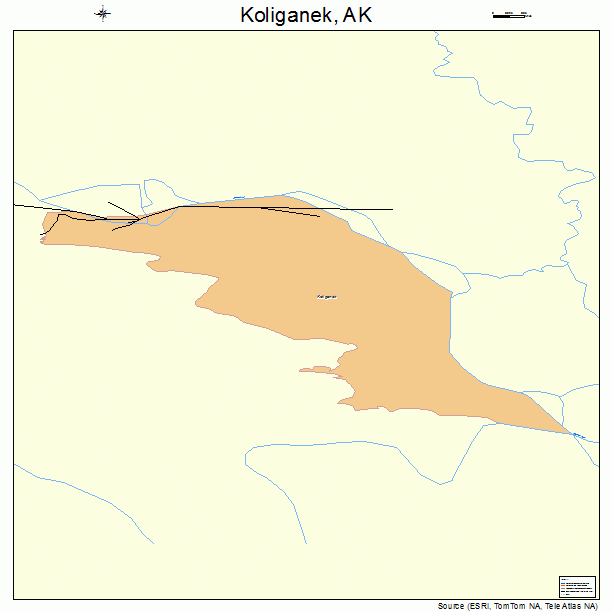 Koliganek, AK street map
