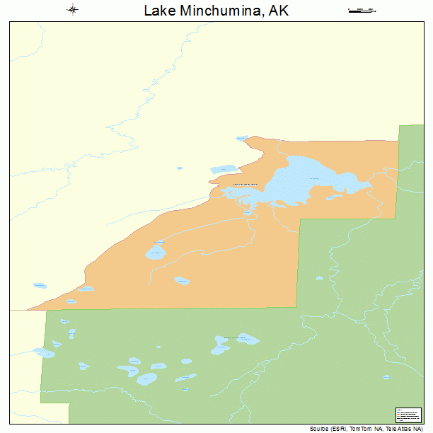 Lake Minchumina, AK street map